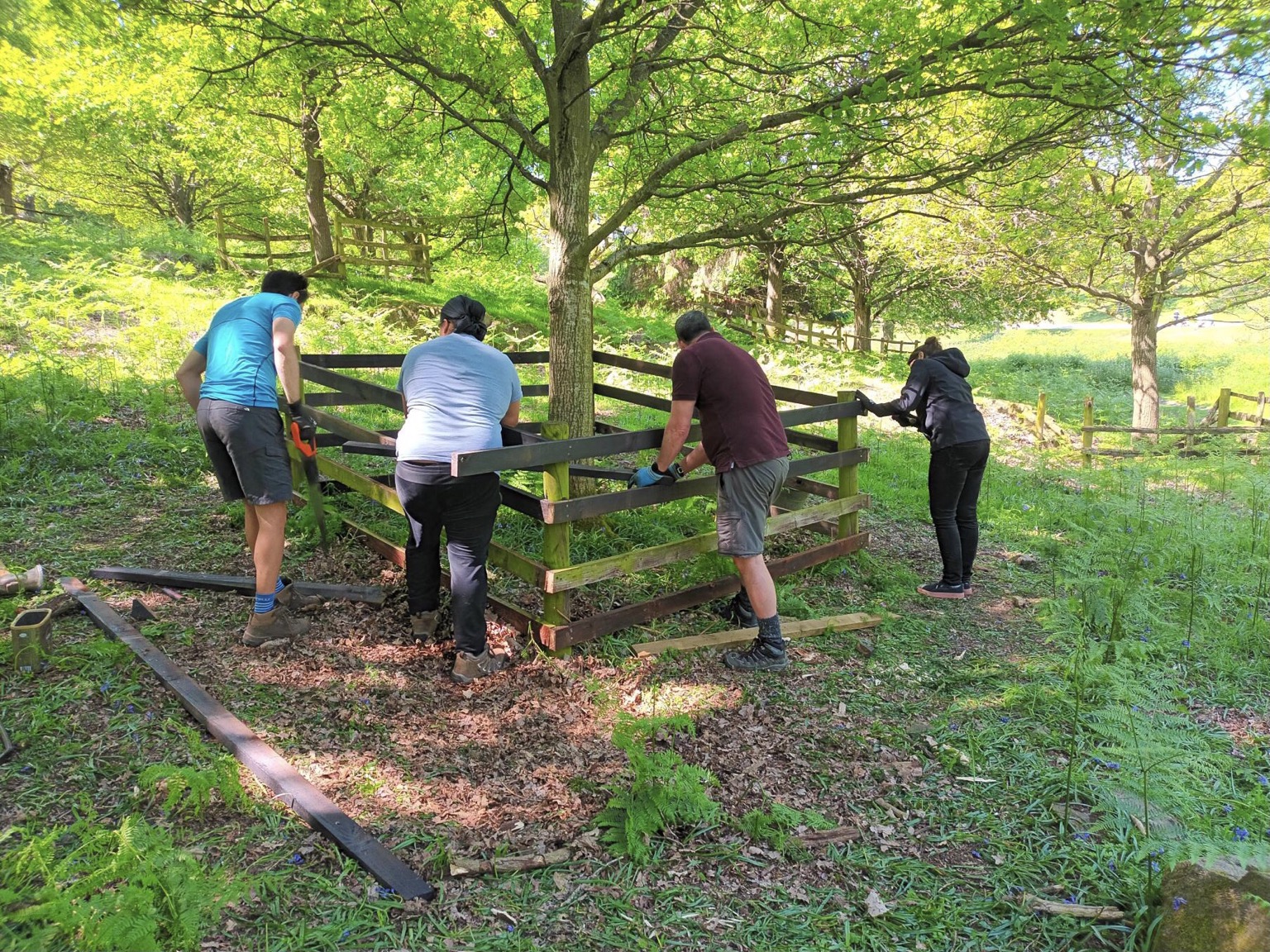 Volunteering at Bradgate Park